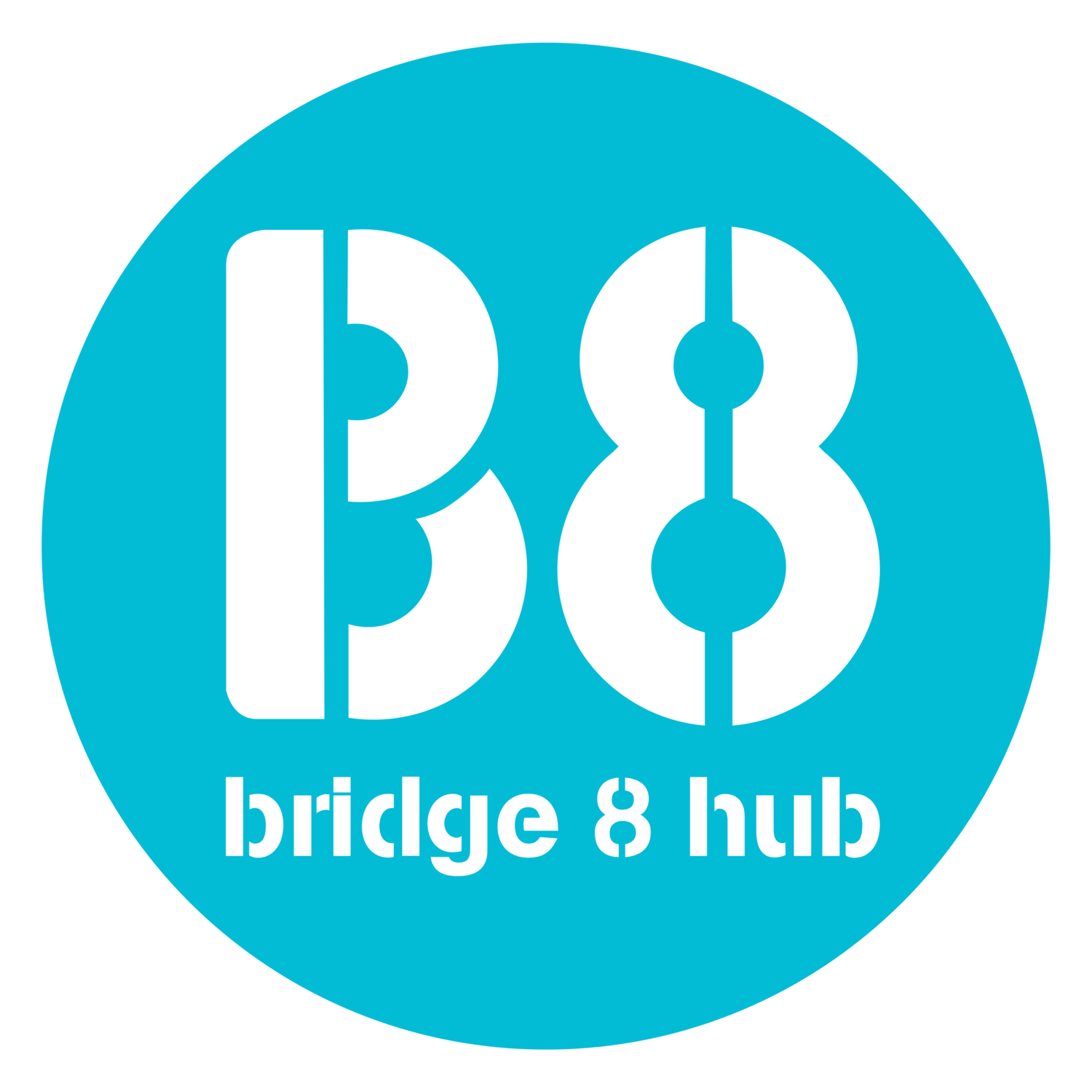 Bridge 8 Hub Logo